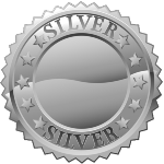 silver metal level
